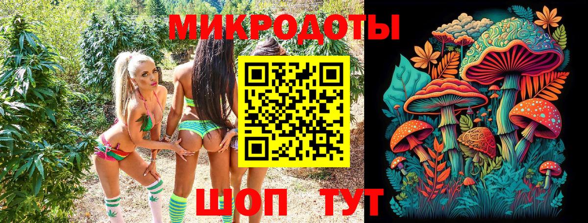 Псилоцибиновые грибы GOLDEN TEACHER Каменка