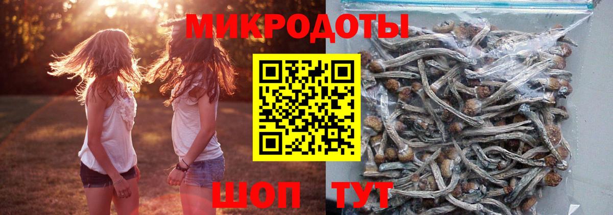 Галлюциногенные грибы ЛСД  купить наркотик  Каменка  Вход с VPN 